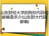 山东财经大学的院校代码和邮编是多少(山东财大代码邮编)