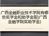 广西金融职业技术学院有哪些奖学金和助学金呢(广西金融学院奖助学金)