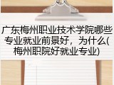 广东梅州职业技术学院哪些专业就业前景好，为什么(梅州职院好就业专业)