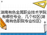 湖南有色金属职业技术学院有哪些专业，几个校区(湖南有色职院专业校区)