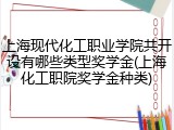 上海现代化工职业学院共开设有哪些类型奖学金(上海化工职院奖学金种类)