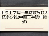 中原工学院一年财政拨款大概多少钱(中原工学院年拨款)