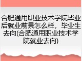 合肥通用职业技术学院毕业后就业前景怎么样，毕业生去向(合肥通用职业技术学院就业去向)
