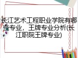 长江艺术工程职业学院有哪些专业，王牌专业分析(长江职院王牌专业)