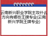 云南新兴职业学院主攻什么方向有哪些王牌专业(云南新兴学院王牌专业)