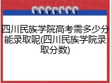 四川民族学院高考需多少分能录取呢(四川民族学院录取分数)