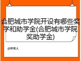 合肥城市学院开设有哪些奖学和助学金(合肥城市学院奖助学金)