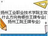 扬州工业职业技术学院主攻什么方向有哪些王牌专业(扬州工院王牌专业)