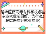 楚雄医药高等专科学校哪些专业就业前景好，为什么(楚雄医专好就业专业)