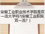安徽工业职业技术学院是双一流大学吗?(安徽工业职院双一流？)