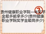 贵州健康职业学院一年奖学金最多能拿多少(贵州健康职业学院奖学金最高多少)