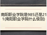 南阳职业学院是985还是211(南阳职业学院什么级别)