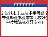 宁波城市职业技术学院哪个专业毕业就业前景比较好(宁波城院就业好专业)