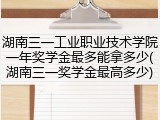 湖南三一工业职业技术学院一年奖学金最多能拿多少(湖南三一奖学金最高多少)