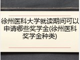 徐州医科大学就读期间可以申请哪些奖学金(徐州医科奖学金种类)