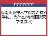 海南职业技术学院是否有双学位，为什么(海南职院双学位原因)