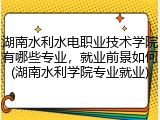 湖南水利水电职业技术学院有哪些专业，就业前景如何(湖南水利学院专业就业)