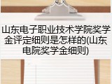 山东电子职业技术学院奖学金评定细则是怎样的(山东电院奖学金细则)