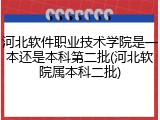 河北软件职业技术学院是一本还是本科第二批(河北软院属本科二批)