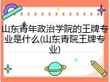 山东青年政治学院的王牌专业是什么(山东青院王牌专业)