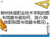 柳州铁道职业技术学院的图书馆藏书量如何，简介(柳铁职院图书馆藏书概况)