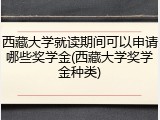 西藏大学就读期间可以申请哪些奖学金(西藏大学奖学金种类)