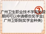 广州卫生职业技术学院就读期间可以申请哪些奖学金(广州卫职院奖学金种类)