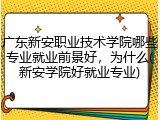 广东新安职业技术学院哪些专业就业前景好，为什么(新安学院好就业专业)
