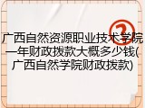 广西自然资源职业技术学院一年财政拨款大概多少钱(广西自然学院财政拨款)