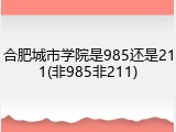 合肥城市学院是985还是211(非985非211)
