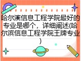 哈尔滨信息工程学院最好的专业是哪个，详细阐述(哈尔滨信息工程学院王牌专业)