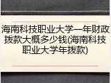 海南科技职业大学一年财政拨款大概多少钱(海南科技职业大学年拨款)