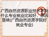 广西自然资源职业技术学院什么专业就业比较好，原因是啥(广西自然资源学院好就业专业)