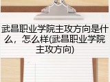 武昌职业学院主攻方向是什么，怎么样(武昌职业学院主攻方向)