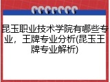 昆玉职业技术学院有哪些专业，王牌专业分析(昆玉王牌专业解析)