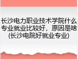 长沙电力职业技术学院什么专业就业比较好，原因是啥(长沙电院好就业专业)