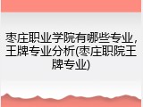 枣庄职业学院有哪些专业，王牌专业分析(枣庄职院王牌专业)
