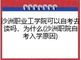 沙洲职业工学院可以自考去读吗，为什么(沙洲职院自考入学原因)