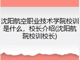 沈阳航空职业技术学院校训是什么，校长介绍(沈阳航院校训校长)