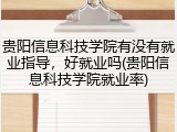 贵阳信息科技学院有没有就业指导，好就业吗(贵阳信息科技学院就业率)