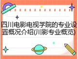 四川电影电视学院的专业设置概况介绍(川影专业概览)