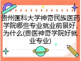 贵州医科大学神奇民族医药学院哪些专业就业前景好，为什么(贵医神奇学院好就业专业)