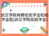 武汉学院有哪些奖学金和助学金呢(武汉学院奖助学金)