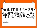 巴音郭楞职业技术学院是专科还是本科院校呢(巴音郭楞职业技术学院是专科吗)