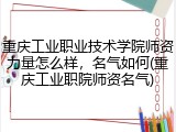 重庆工业职业技术学院师资力量怎么样，名气如何(重庆工业职院师资名气)