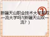 新疆天山职业技术大学是双一流大学吗?(新疆天山双一流？)