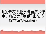 山东传媒职业学院有多少学生，师资力量如何(山东传媒学院规模师资)