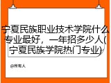 宁夏民族职业技术学院什么专业最好，一年招多少人(宁夏民族学院热门专业)
