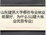 山东建筑大学哪些专业就业前景好，为什么(山建大就业优势专业)