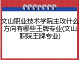 文山职业技术学院主攻什么方向有哪些王牌专业(文山职院王牌专业)